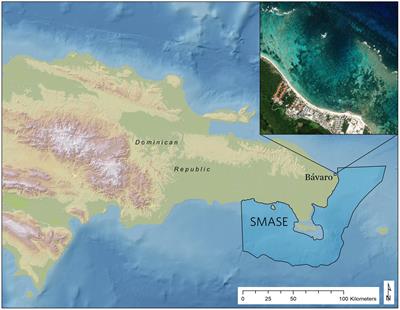 Site Selection for Coral Reef Restoration Using Airborne Imaging Spectroscopy